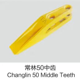 Changlin 50 medlum tooth