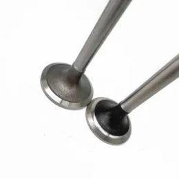 Intake and exhaust valves