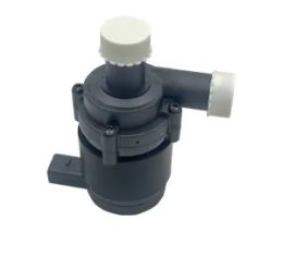 Auxiliary circulating water pump