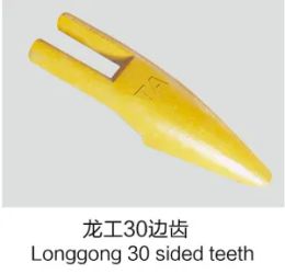 Longo30-sided tooth