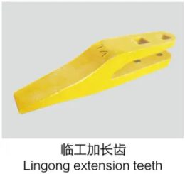 Temporary extended tooth