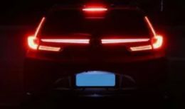 Trunk LED taillight trim