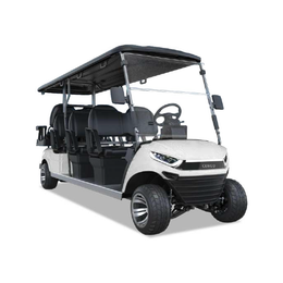 6 PASSENGERS GOLF CART NL-JZ4+2.G