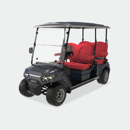 4 PASSENGERS GOLF CART NL-LC4