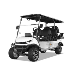 4 PASSENGERS GOLF CART NL-JZ4.G