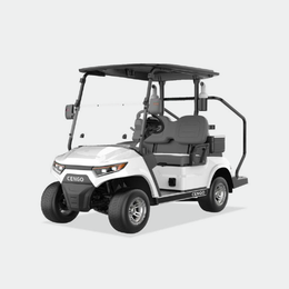 2 PASSENGERS GOLF CART NL-LC2