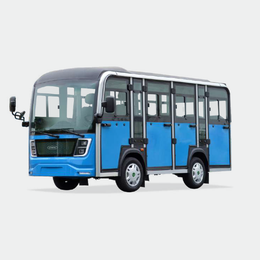 11 SIGHTSEEING BUS NL-GDS11.F