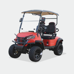 2 PASSENGERS GOLF CART NL-JA2.G