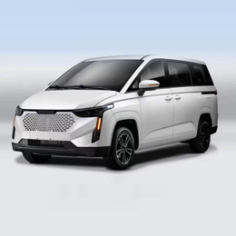 G200 pure electric van transport vehicle G200-PHEV-MPV