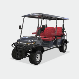 4 PASSENGERS GOLF CART NL-LC4+2.G