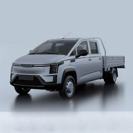 G200P pure electric van transport vehicleG200P-PHEV-Truck（4-Seats)