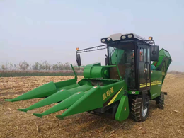 Self-propelled corn harvester