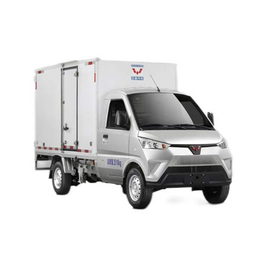 G100P pure electric van transport vehicle G100P-NEV-Van-type-truck
