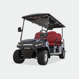 4 PASSENGERS GOLF CART NL-LC4+2