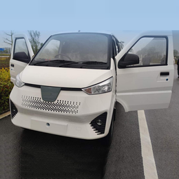 G100P pure electric van transport vehicle G100R-NEV-Vank