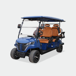 6 PASSENGERS GOLF CART NL-JA4+2