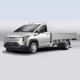G200P pure electric van transport vehicle G200P-PHEV-Truck