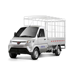 G100P pure electric van transport vehicle G100P-NEV-Box-truck