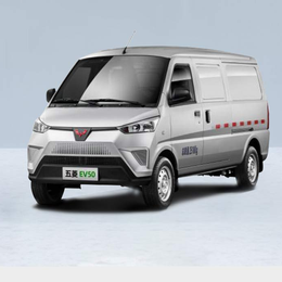 G100 pure electric van transport vehicle G100-NEV-Van
