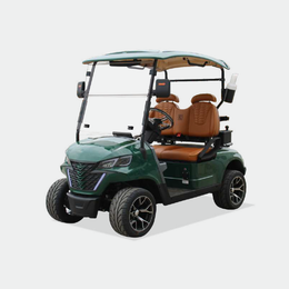 2 PASSENGERS GOLF CART NL-JA2