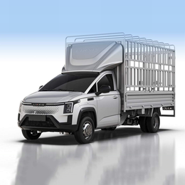 G200P pure electric van transport vehicle G200P-PHEV-Box-Truck