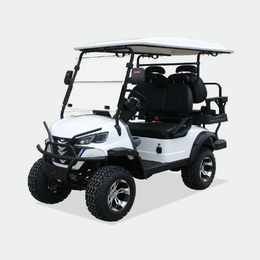 4 PASSENGERS GOLF CART NL-JA2+2.G