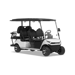 6 PASSENGERS GOLF CART NL-JZ4+2