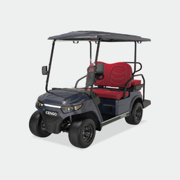 2 PASSENGERS GOLF CART NL-LC.2+2G