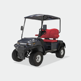 2 PASSENGERS GOLF CART NL-LC2.G