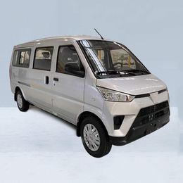 G100V pure electric van transport vehicle G100V-NEV-Van（7-Seats)