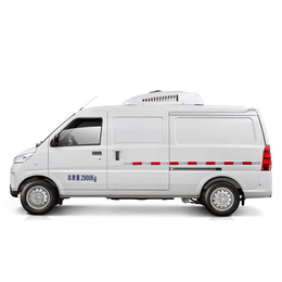G100 pure electric van transport vehicle G100-Electr-icrefrigerated-Vank