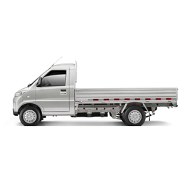G100P pure electric van transport vehicle G100P-NEV-Truck