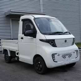 G050 pure electric van transport vehicle G050-4 Seats NEV RHD/LHD