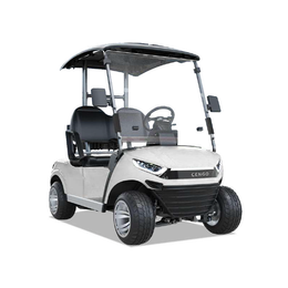 2 PASSENGERS GOLF CART NL-JZ2