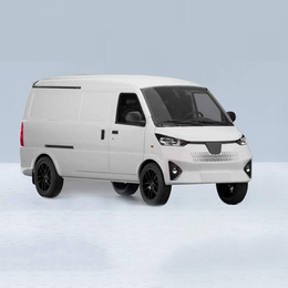 G105 pure electric van transport vehicle G105-3-NEV-Van