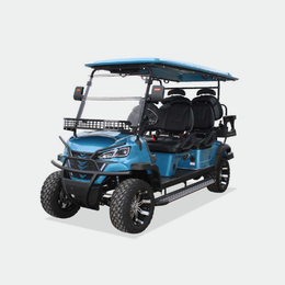 6 PASSENGERS GOLF CART NL-JA4+2.G