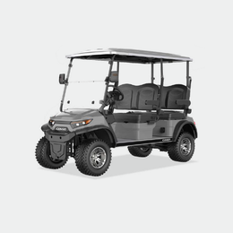 4 PASSENGERS GOLF CART NL-LC4.G