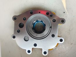 Lingong type gear pump